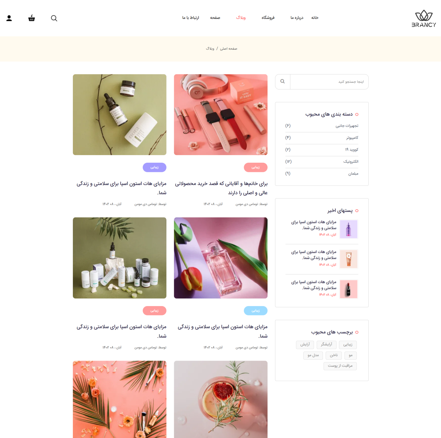 Brancy Care HTML template